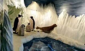 تخفیف زمستانی برای بازدید از مراکز تفریحی تهران 