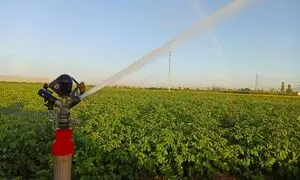 هر آنچه باید درباره گروه صنعتی ویسپار بدانید