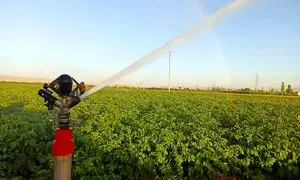 هر آنچه باید درباره گروه صنعتی ویسپار بدانید