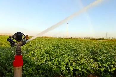 هر آنچه باید درباره گروه صنعتی ویسپار بدانید