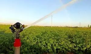 هر آنچه باید درباره گروه صنعتی ویسپار بدانید