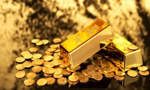 نیمی از سود خالص همکاران سیستم از طلا 