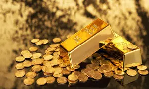 نیمی از سود خالص همکاران سیستم از طلا 