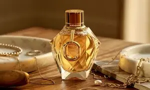 معرفی بهترین وب سایت فروش عطرهای اصل در ایران