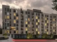 95 درصد ساکنان تالی پارک مجردند