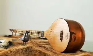 بهترین تار برای نوازندگان حرفه ای موسیقی ایرانی