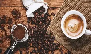 تجربه قهوه‌ های اسپشیالیتی آیسان خاورمیانه کالا در نمایشگاه قهوه ایران مال