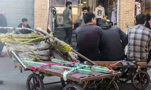 قیمت شوکه کننده گاری دستی در بازار