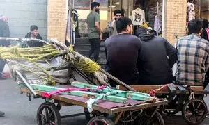 قیمت شوکه کننده گاری دستی در بازار