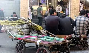 قیمت شوکه کننده گاری دستی در بازار