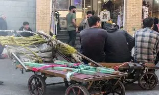 قیمت شوکه کننده گاری دستی در بازار