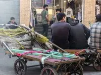 قیمت شوکه کننده گاری دستی در بازار