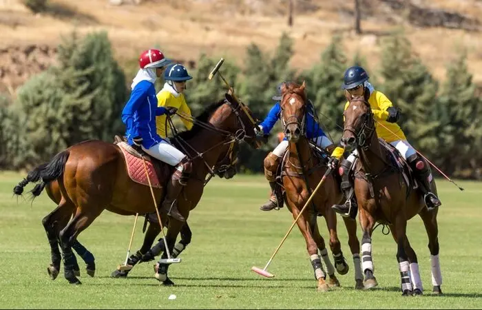 دکاپست؛ حامی مسابقات چوگان دختران
