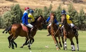 دکاپست؛ حامی مسابقات چوگان دختران