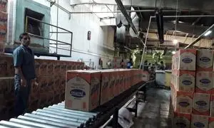 فعالیت کارخانه تولی پرس متوقف شد