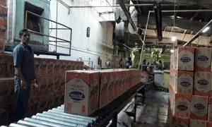 فعالیت کارخانه تولی پرس متوقف شد