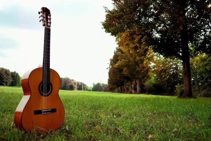 چرا خرید گیتار فندر اصل از دلشاد موزیک امن‌تر است؟