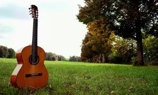 چرا خرید گیتار فندر اصل از دلشاد موزیک امن‌تر است؟