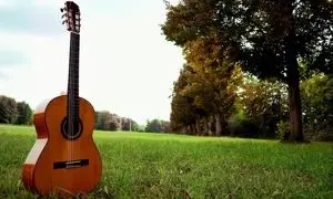 چرا خرید گیتار فندر اصل از دلشاد موزیک امن‌تر است؟