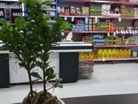 اسنپ‌مارکت و بلوبانک به‌دنبال حل چالش نقدینگی خرده‌فروشان