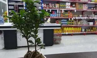 اسنپ‌مارکت و بلوبانک به‌دنبال حل چالش نقدینگی خرده‌فروشان