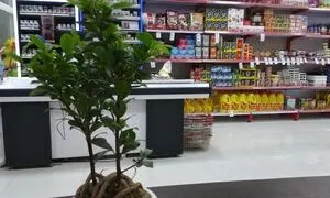 اسنپ‌مارکت و بلوبانک به‌دنبال حل چالش نقدینگی خرده‌فروشان