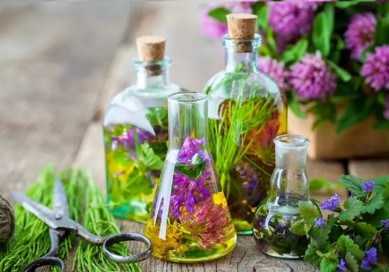 10 مورد از عرقیات گیاهی با طبع گرم