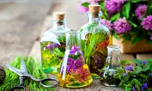 10 مورد از عرقیات گیاهی با طبع گرم