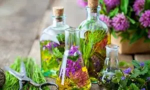 10 مورد از عرقیات گیاهی با طبع گرم