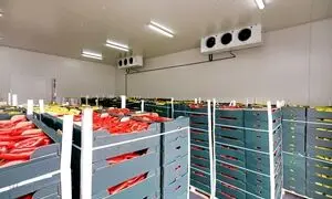 نکاتی برای کاهش هزینه تعمیر تجهیزات و سیستم‌های سردخانه‌ای 