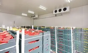 نکاتی برای کاهش هزینه تعمیر تجهیزات و سیستم‌های سردخانه‌ای 