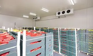نکاتی برای کاهش هزینه تعمیر تجهیزات و سیستم‌های سردخانه‌ای 