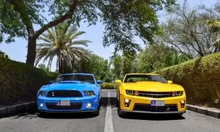 حذف سهمیه سوخت خودروهای میلیاردی و پلاک آزاد