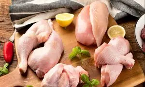 تکمیل نخستین طرح فارابی‌ کراد