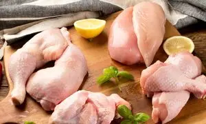 تکمیل نخستین طرح فارابی‌ کراد