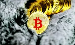 بزرگترین سرقت بیت کوین چگونه رخ داد؟