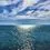 همراهی فیلم‌نت با تداِکس کیش ۲۰۲۶ 