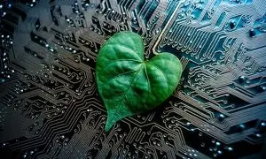 همراه اول، سازمان پیشرو در اقدامات واقعی هوش سبز
