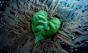 همراه اول، سازمان پیشرو در اقدامات واقعی هوش سبز