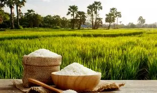قیمت برنج چطور توانست رکوردشکنی کند؟