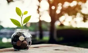 چهاردهمین سالگرد تأسیس تأمین سرمایه لوتوس پارسیان