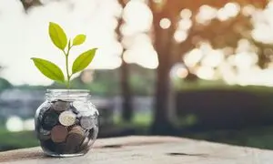 چهاردهمین سالگرد تأسیس تأمین سرمایه لوتوس پارسیان