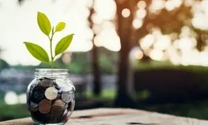 چهاردهمین سالگرد تأسیس تأمین سرمایه لوتوس پارسیان