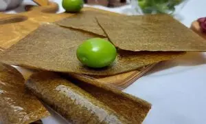«بانویی» که از شهریار به آلمان «سبزی قرمه» صادر می‌کند