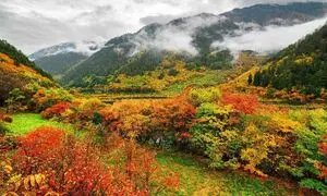کدام کشورهای خارجی بهترین آب و هوا را برای سفر در پاییز ۱۴۰۴ دارند؟