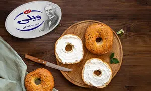 همراهی ویلی با ورکشاپ چیزبورد آکادمی سولیکو