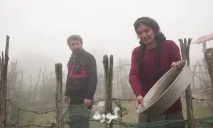 پوستر «گوره» رونمایی شد