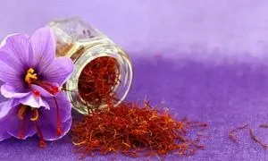 همکاری 30 ساله نوین زعفران با شرکت SGS