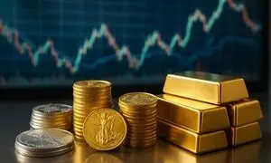سرمایه گذاری در صندوق فلز فارابی برای چه کسانی مناسب است؟