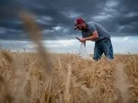 اعتباردهی از زمان کاشت با کمک پهپاد و هوش مصنوعی